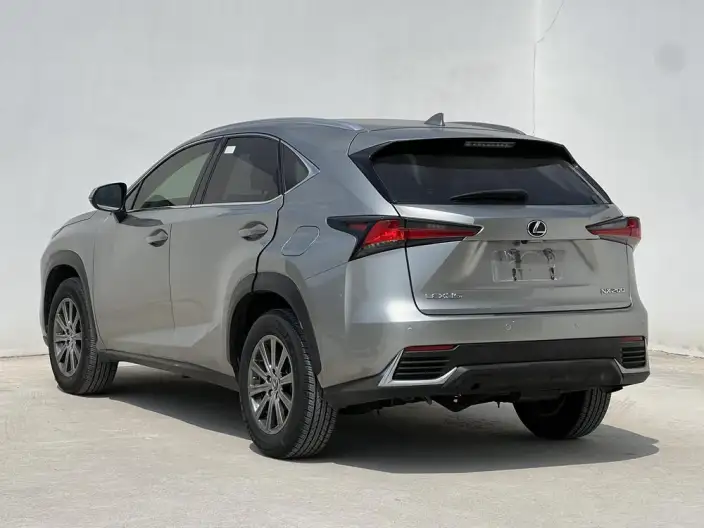 Lexus NX 2020 Model 200 Quan Drive Fengshang Edition China VI – фото 4