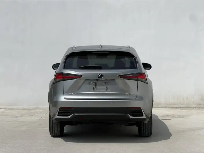 Lexus NX 2020 Model 200 Quan Drive Fengshang Edition China VI – фото 5