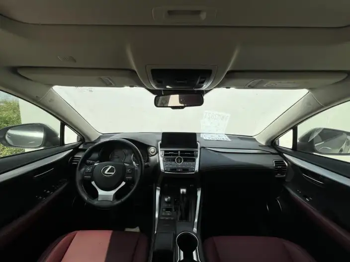 Lexus NX 2020 Model 200 Quan Drive Fengshang Edition China VI – фото 11