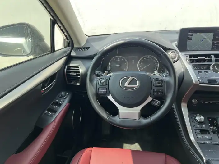 Lexus NX 2020 Model 200 Quan Drive Fengshang Edition China VI – фото 13