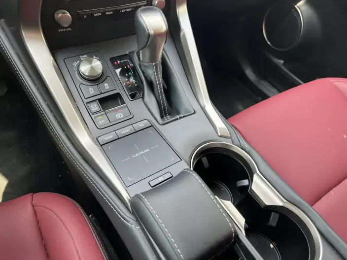 Lexus NX 2020 Model 200 Quan Drive Fengshang Edition China VI – фото 14