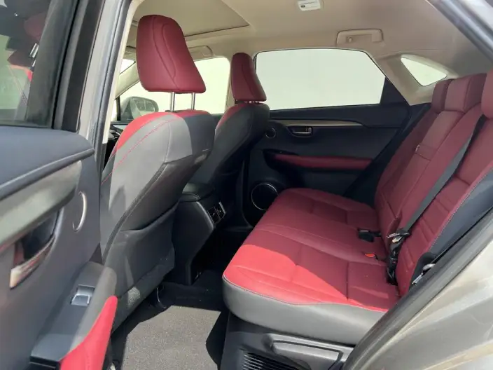 Lexus NX 2020 Model 200 Quan Drive Fengshang Edition China VI – фото 16