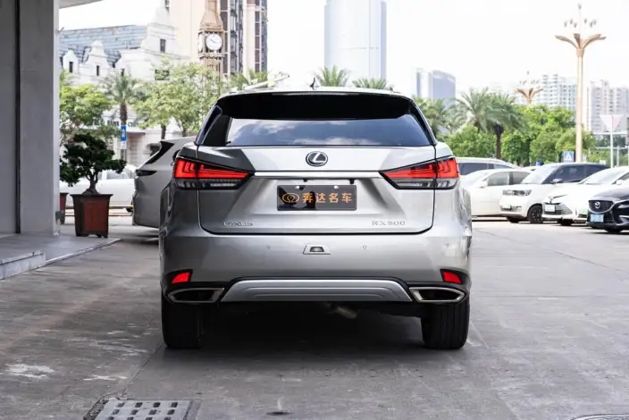Lexus RX 2020 Model 300 4WD Elegant Edition China VI – фото 4