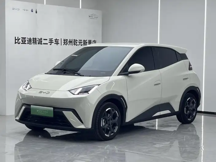 BYD Seagull 2025 Model 305KM Free Edition – фото 1