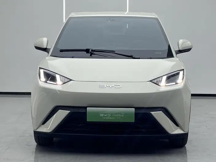 BYD Seagull 2025 Model 305KM Free Edition – фото 2