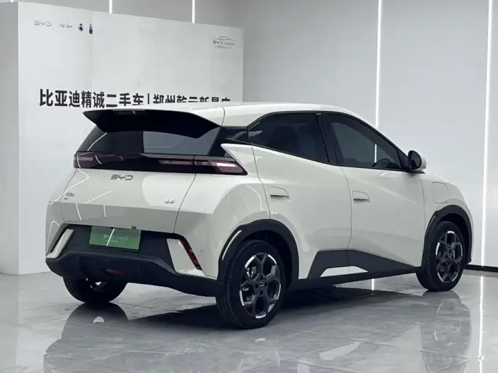 BYD Seagull 2025 Model 305KM Free Edition – фото 4