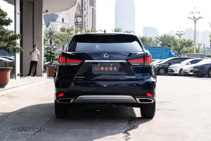 Lexus RX 2020 Model Facelift 300 4WD Deluxe Edition – фото 4