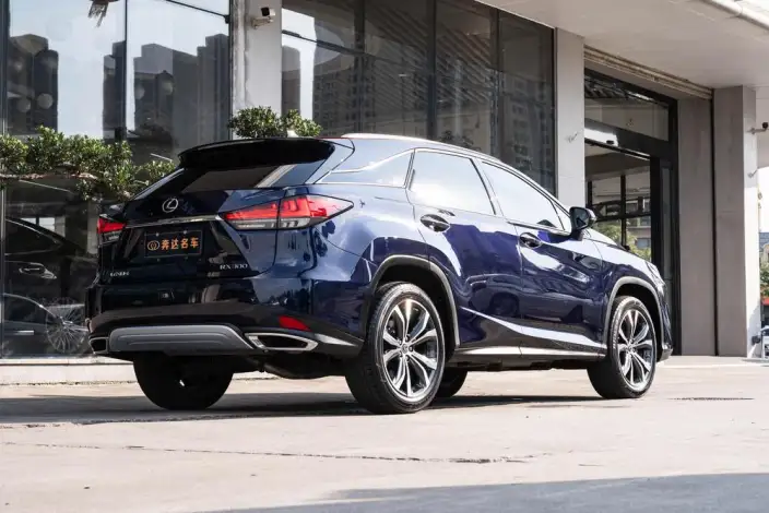 Lexus RX 2020 Model Facelift 300 4WD Deluxe Edition – фото 5