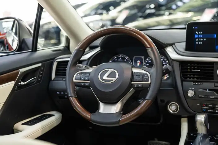 Lexus RX 2020 Model Facelift 300 4WD Deluxe Edition – фото 20