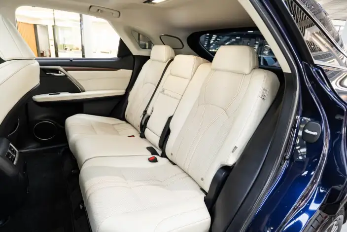 Lexus RX 2020 Model Facelift 300 4WD Deluxe Edition – фото 25