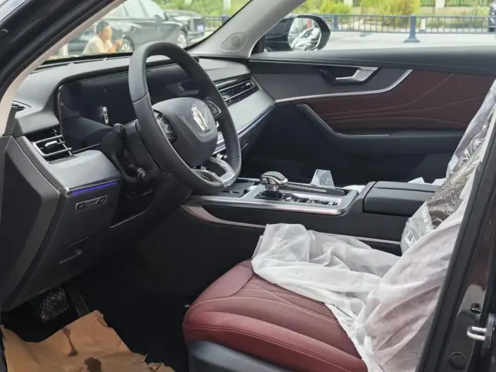 Hongqi HS5 2025 Model 2.0T 4WD Flag Xiang Pro Edition – фото 9