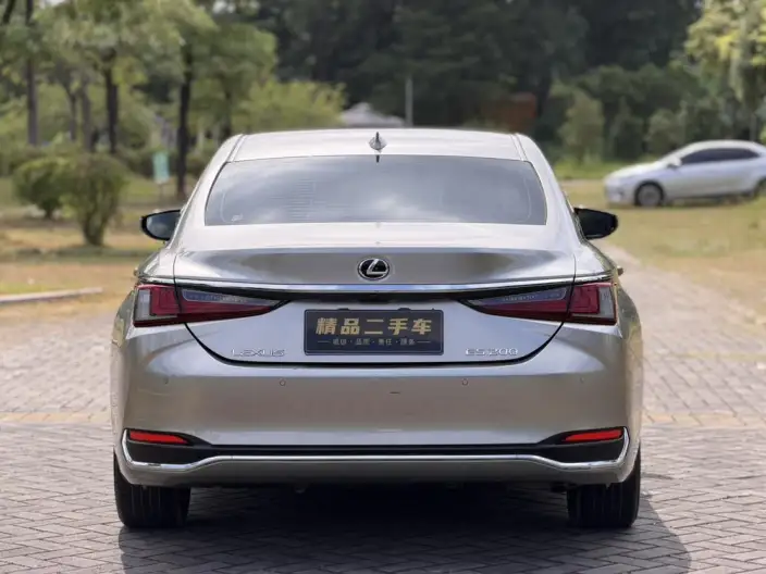 Lexus ES 2020 Model 200 Superior Edition China VI – фото 5
