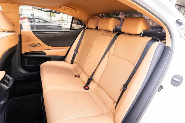 Lexus ES 2022 Model 300h Superior Edition – фото 23