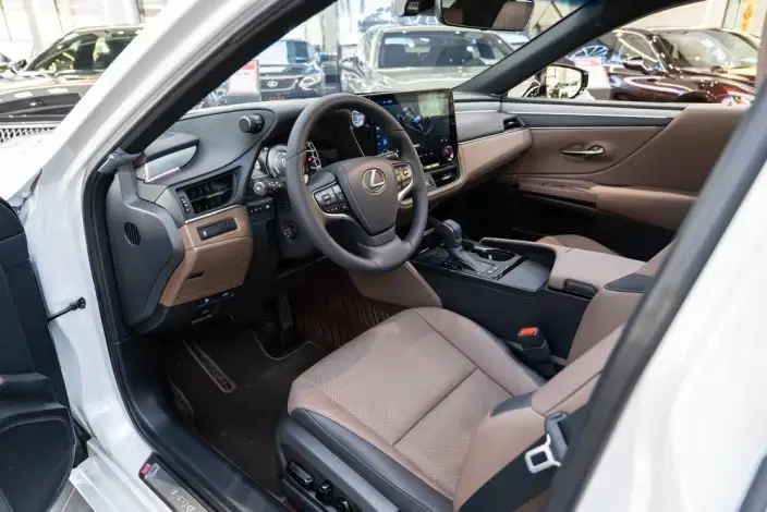 Lexus ES 2025 Model 300h Premium – фото 17