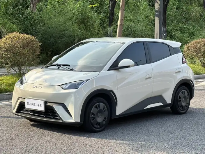 BYD Seagull 2024 Model Honor Edition 305KM Vitality Edition – фото 1