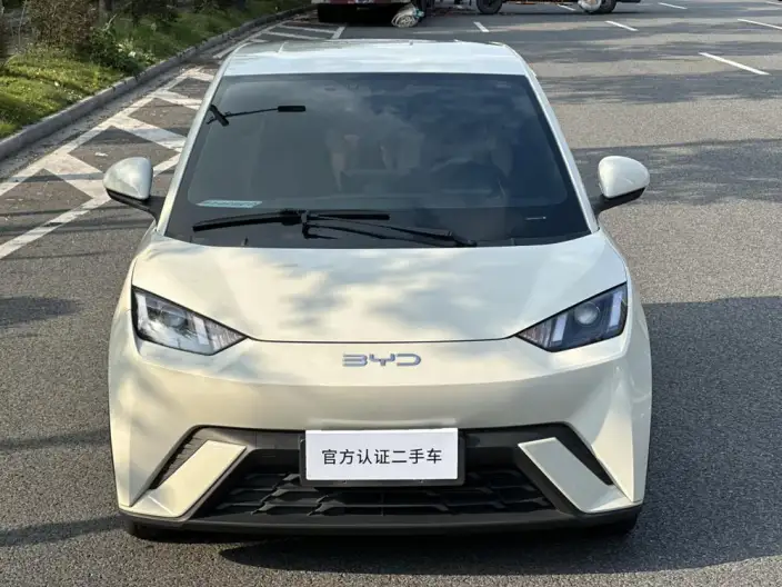 BYD Seagull 2024 Model Honor Edition 305KM Vitality Edition – фото 2