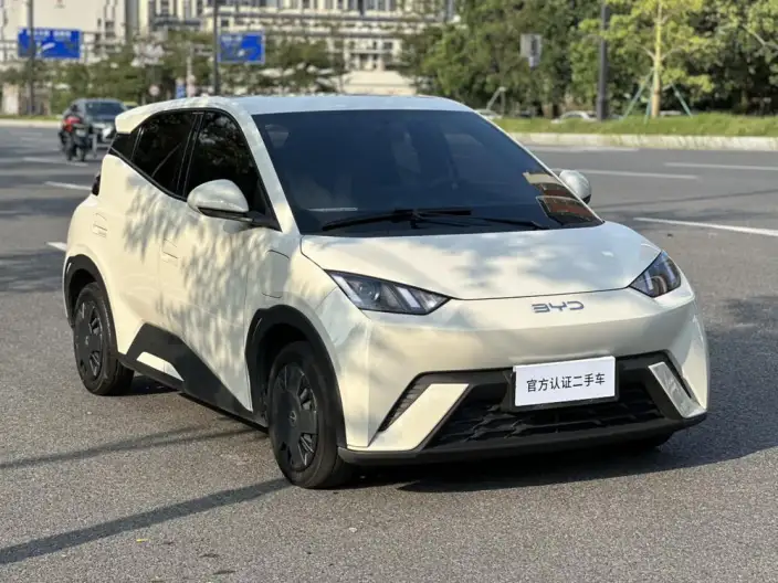 BYD Seagull 2024 Model Honor Edition 305KM Vitality Edition – фото 3