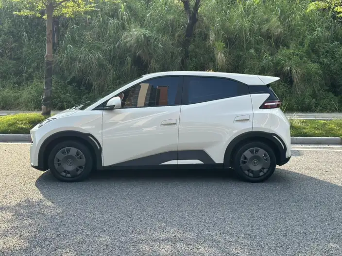 BYD Seagull 2024 Model Honor Edition 305KM Vitality Edition – фото 4