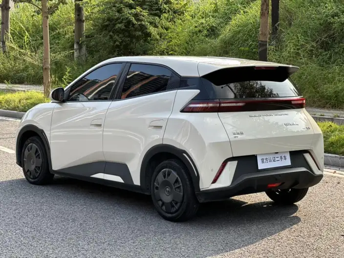 BYD Seagull 2024 Model Honor Edition 305KM Vitality Edition – фото 5