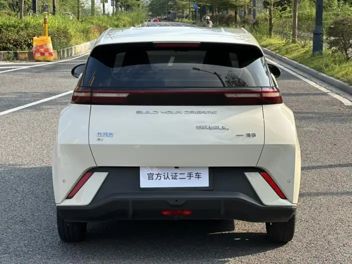 BYD Seagull 2024 Model Honor Edition 305KM Vitality Edition – фото 6