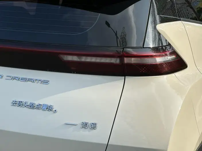 BYD Seagull 2024 Model Honor Edition 305KM Vitality Edition – фото 9