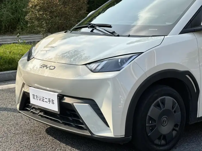 BYD Seagull 2024 Model Honor Edition 305KM Vitality Edition – фото 11