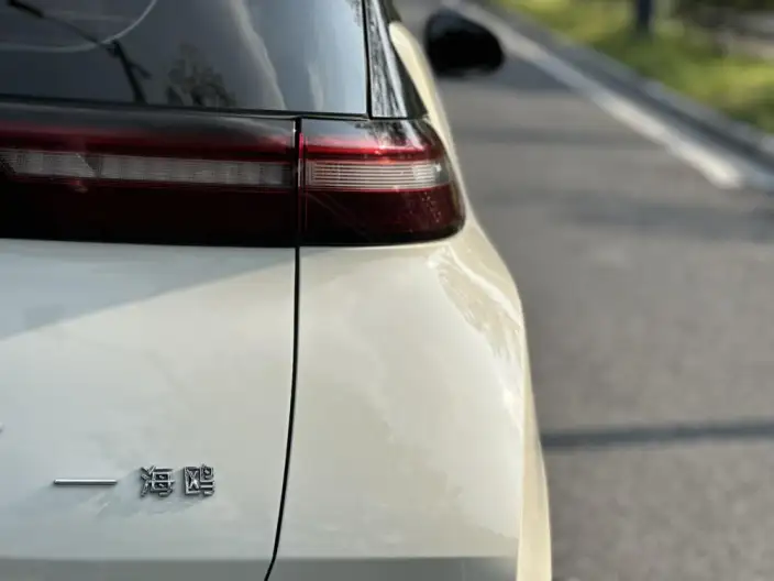 BYD Seagull 2024 Model Honor Edition 305KM Vitality Edition – фото 12