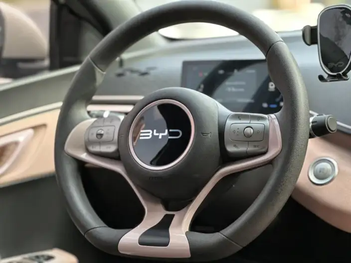BYD Seagull 2024 Model Honor Edition 305KM Vitality Edition – фото 14
