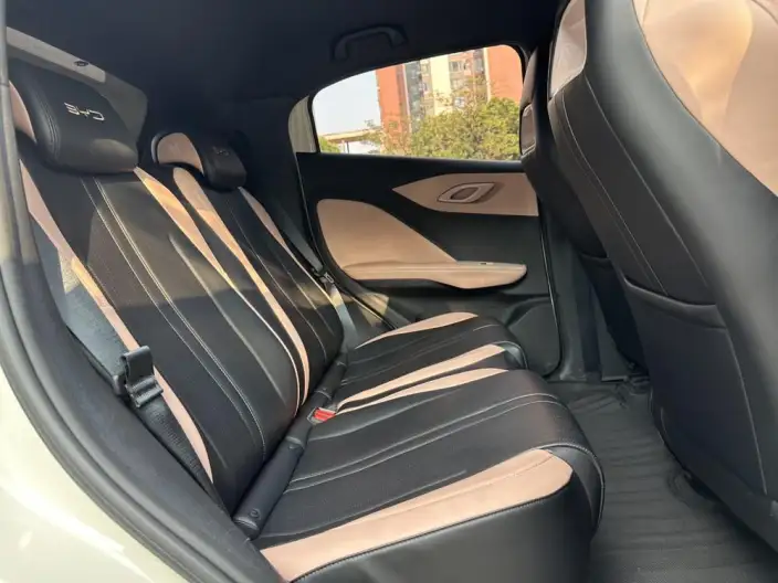 BYD Seagull 2024 Model Honor Edition 305KM Vitality Edition – фото 18