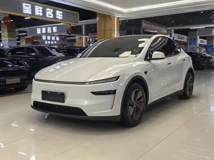 Model Y 2025 Model Long Battery Life Pro All-wheel drive version – фото 1