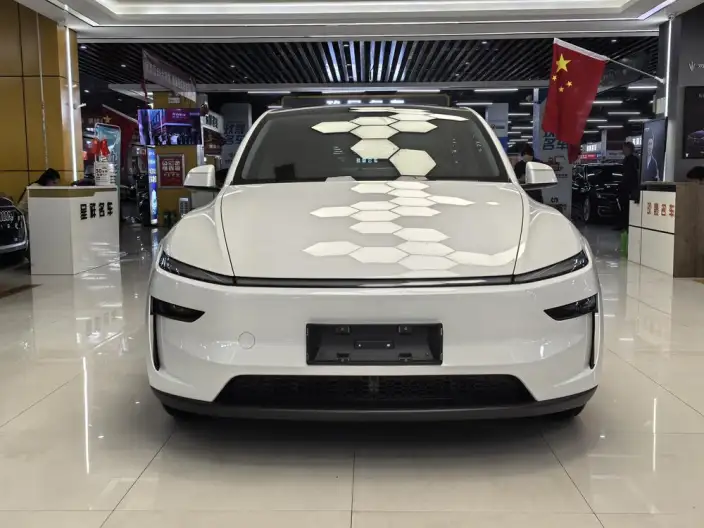 Model Y 2025 Model Long Battery Life Pro All-wheel drive version – фото 2