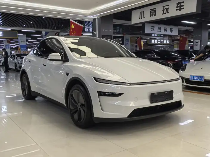 Model Y 2025 Model Long Battery Life Pro All-wheel drive version – фото 3