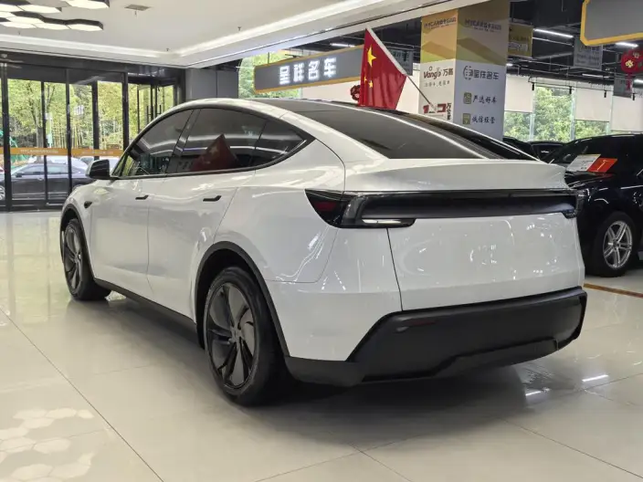 Model Y 2025 Model Long Battery Life Pro All-wheel drive version – фото 4