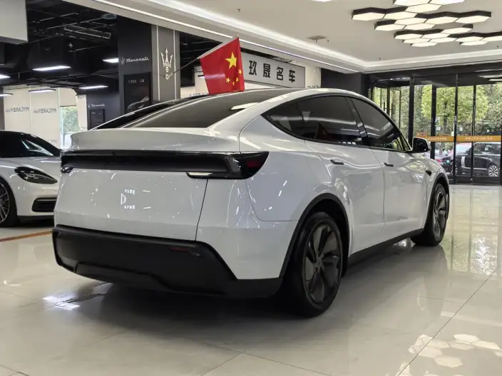 Model Y 2025 Model Long Battery Life Pro All-wheel drive version – фото 6