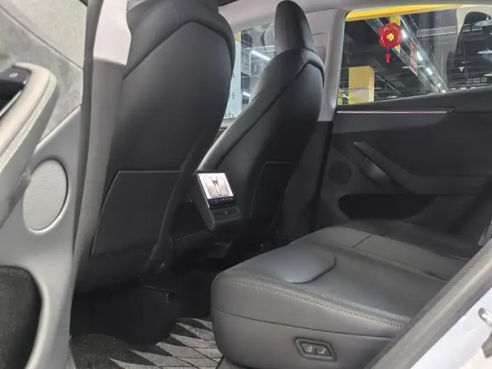 Model Y 2025 Model Long Battery Life Pro All-wheel drive version – фото 12