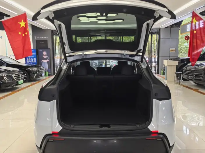 Model Y 2025 Model Long Battery Life Pro All-wheel drive version – фото 13