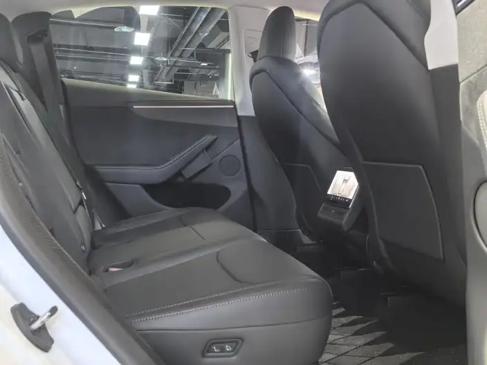 Model Y 2025 Model Long Battery Life Pro All-wheel drive version – фото 15
