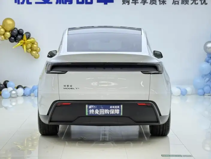 Model Y 2026 Model Long Battery Life Pro Rear-wheel drive version – фото 5