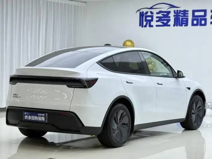 Model Y 2026 Model Long Battery Life Pro Rear-wheel drive version – фото 6