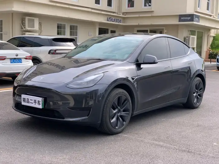Model Y 2024 Model Rear-wheel drive version – фото 1