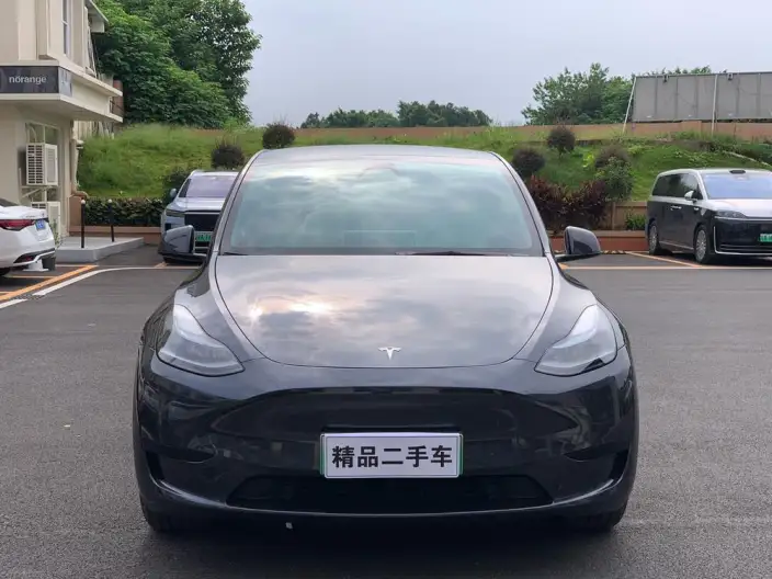 Model Y 2024 Model Rear-wheel drive version – фото 2