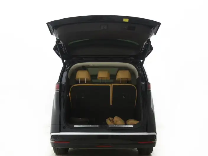 DENZA D9 DM 2024 Model 980 4WD Noble Model – фото 18