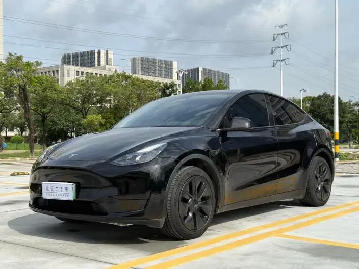 Model Y 2023 Model Rear-wheel drive version – фото 1