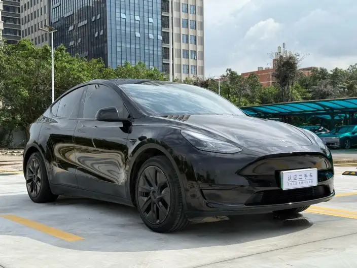 Model Y 2023 Model Rear-wheel drive version – фото 3