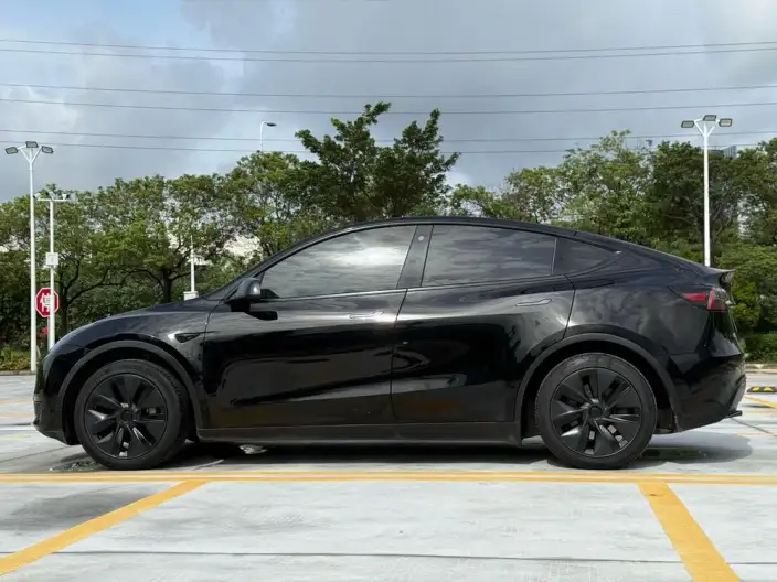Model Y 2023 Model Rear-wheel drive version – фото 4