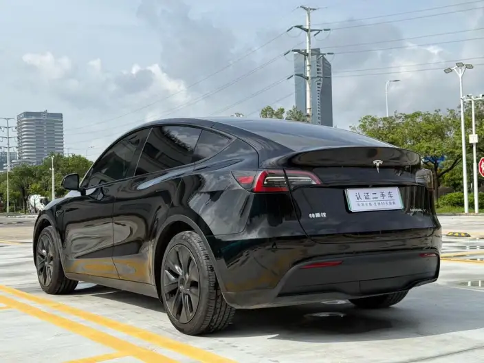 Model Y 2023 Model Rear-wheel drive version – фото 5