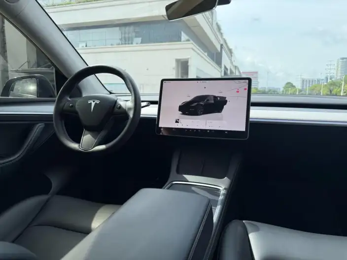 Model Y 2023 Model Rear-wheel drive version – фото 11