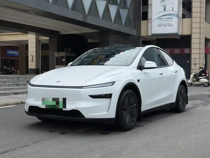Model Y 2025 Model Rear-wheel drive version – фото 1