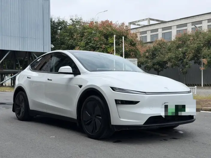 Model Y 2025 Model Rear-wheel drive version – фото 3