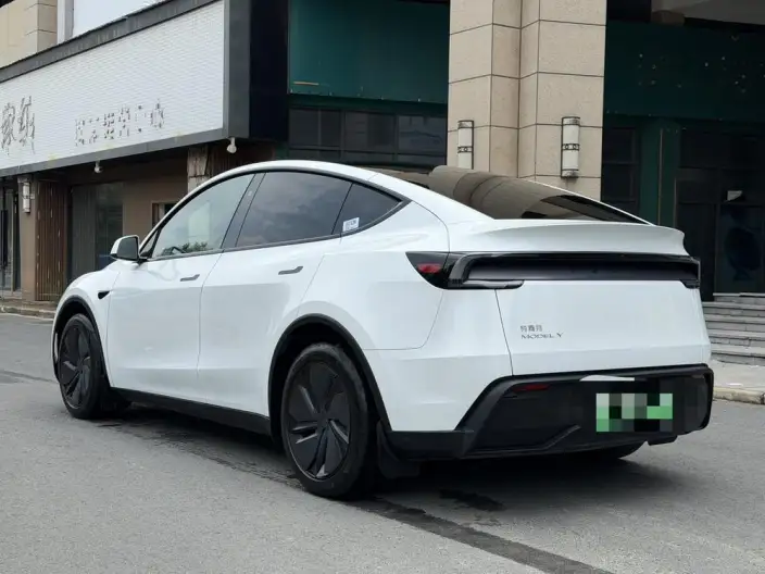 Model Y 2025 Model Rear-wheel drive version – фото 4